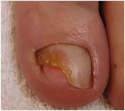 Images from webbuilder